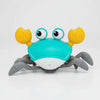Crabe Dansant Fugitif