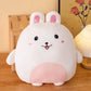 Peluche Coussin Kawaii