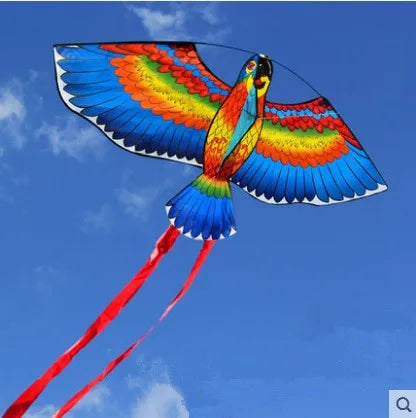 Cerf-volant perroquet volant dans le ciel, activité extérieure 